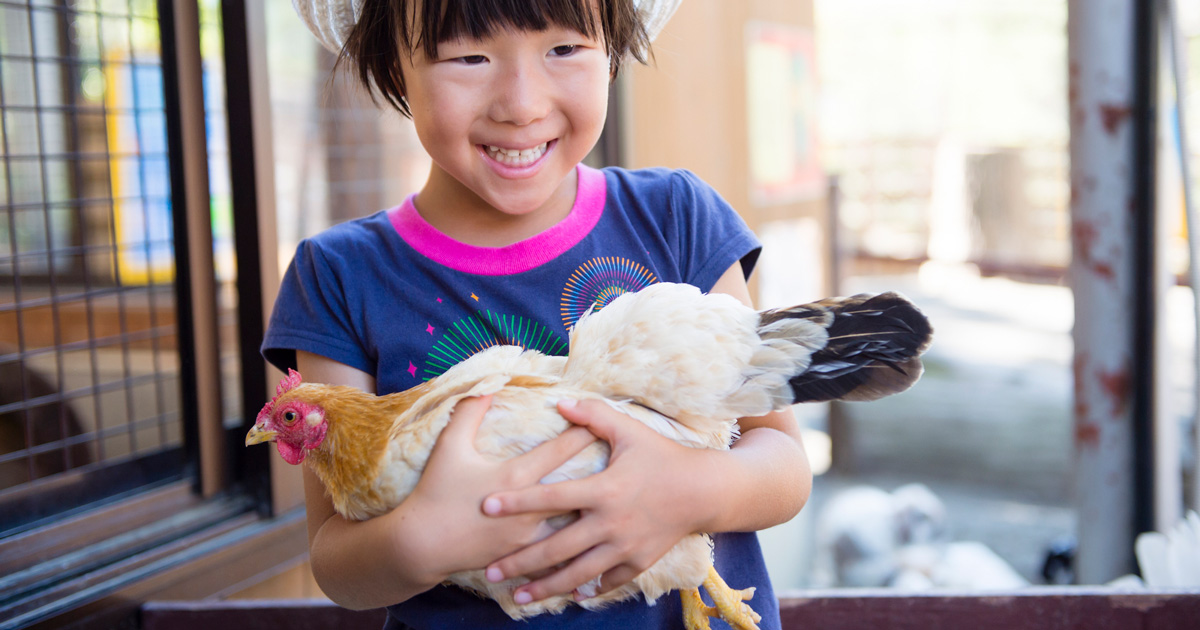 酉年ということで 年賀状のために縁起物の鳥と一緒に撮影できる９スポット Pinto スタジオアリス