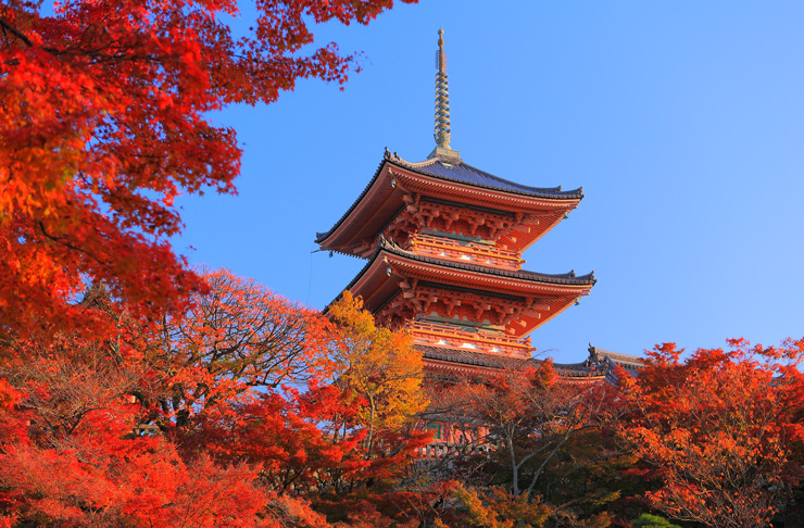 キレイな紅葉写真が撮れる 日本の絶景16 Pinto スタジオアリス