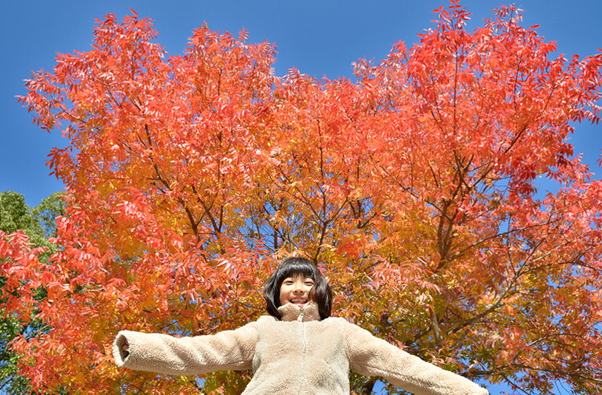 おでかけpinto キレイな紅葉写真が撮れる 大阪 関西の穴場の絶景 Pinto スタジオアリス