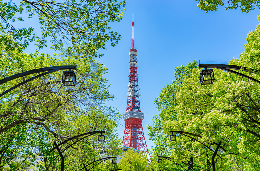 Pintoなフォト連載 ベストスポットはここだ 東京のシンボル 東京タワーを撮りに行こう Pinto スタジオアリス